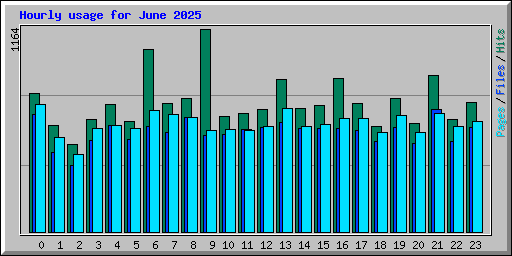Hourly usage for June 2025