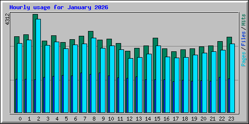 Hourly usage for January 2026