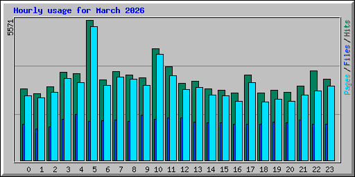 Hourly usage for March 2026