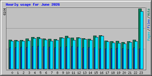 Hourly usage for June 2026
